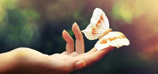 harmony