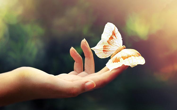 harmony