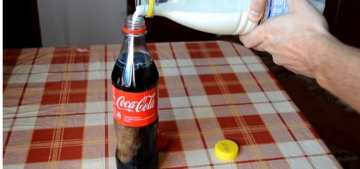 kola02