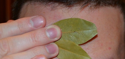 Babérlevél
