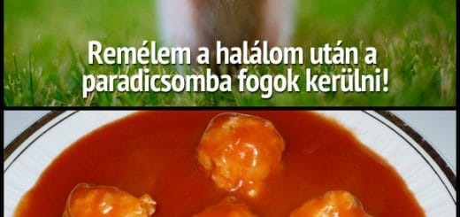 kismalac-alom